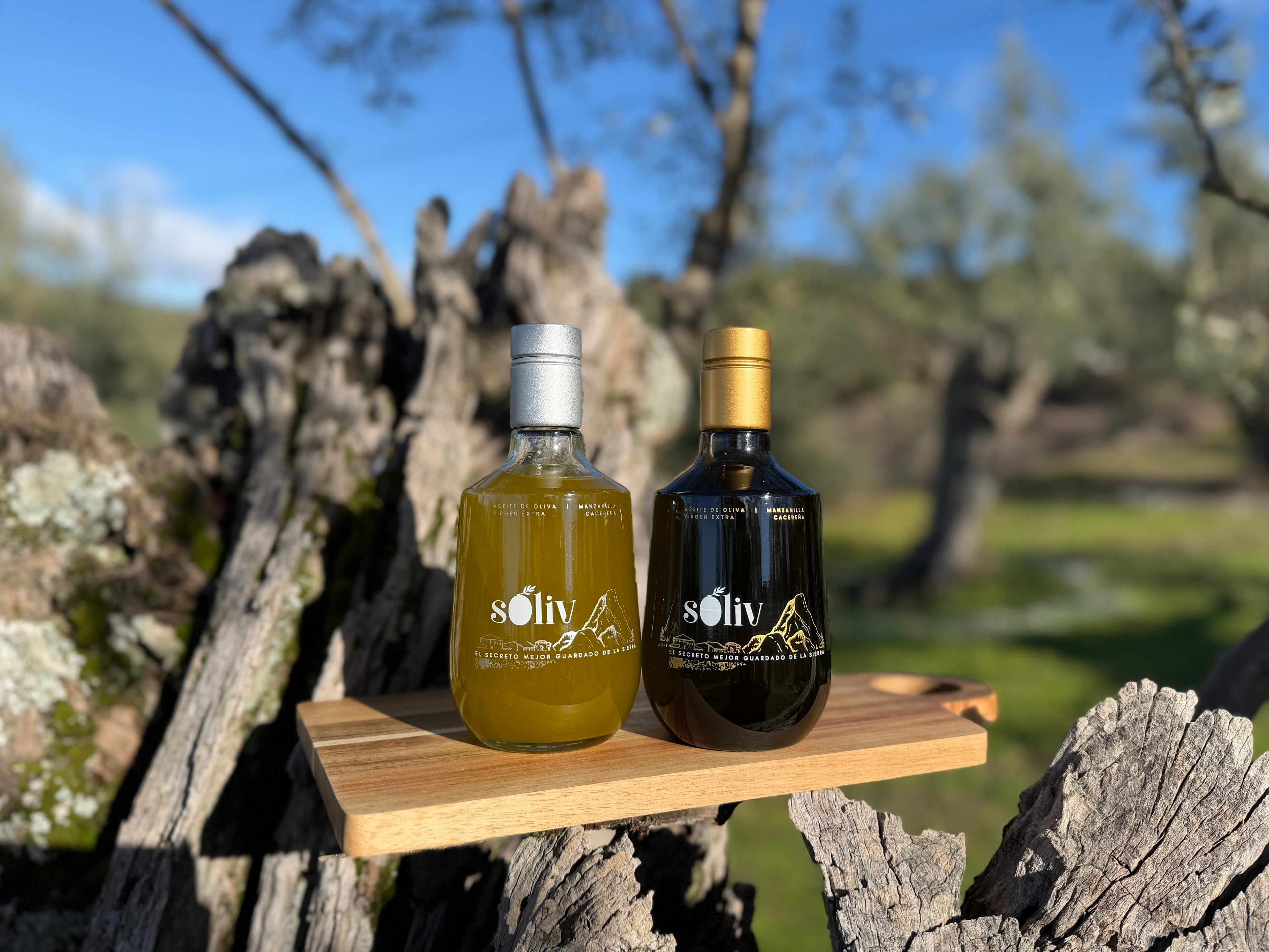 Pack de aceites – PREMIUM y SIN FILTRAR