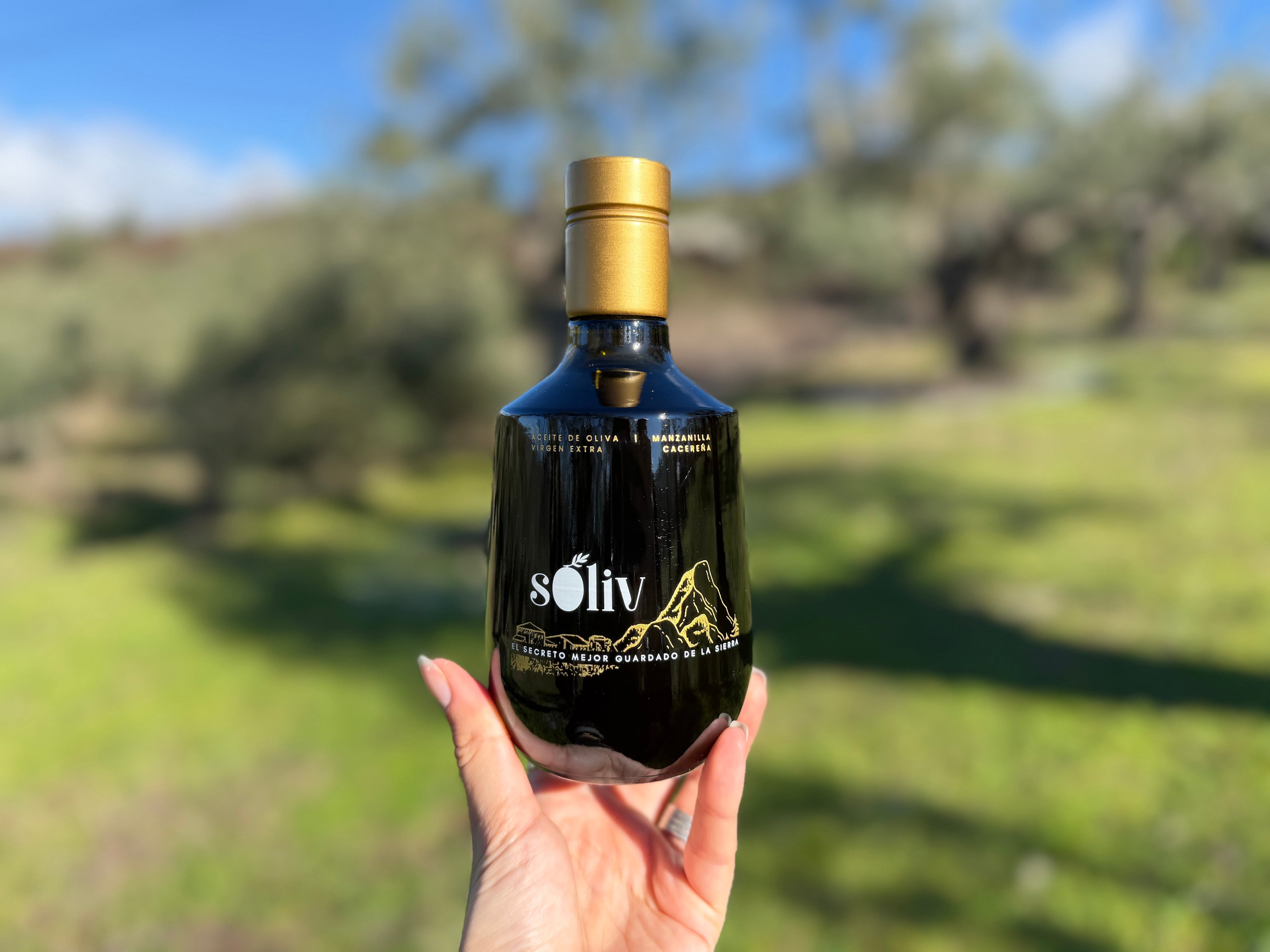 Aceite de oliva virgen extra PREMIUM